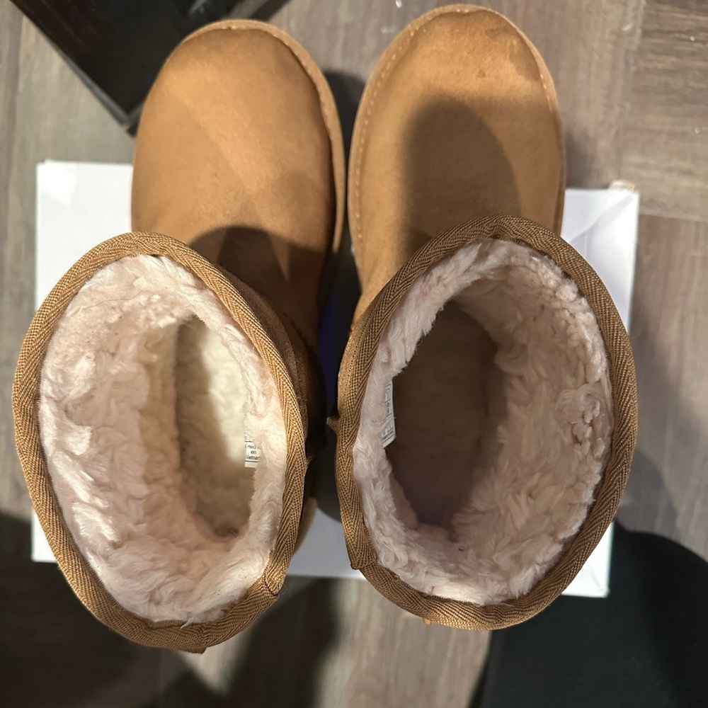 Ugg Chestnut Platform Boots